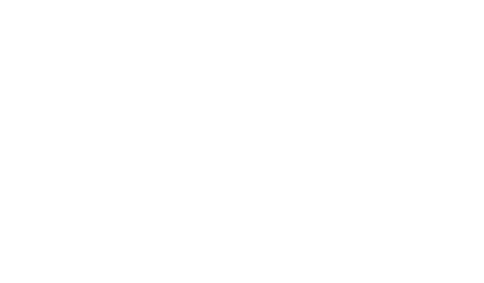 cartridge evolution